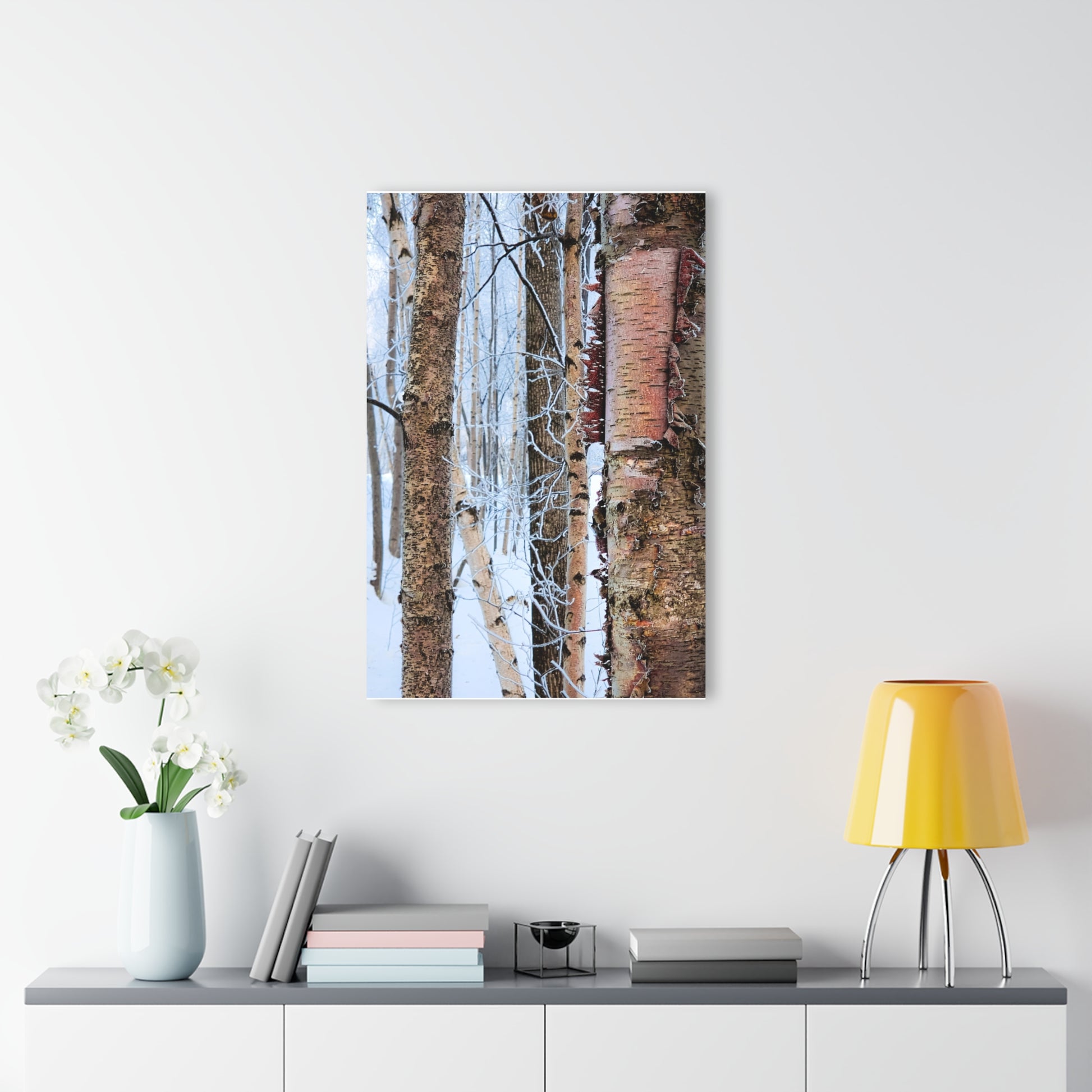 Acrylic Prints Wall Art - Birch Trees in Anchorage Winter Scene