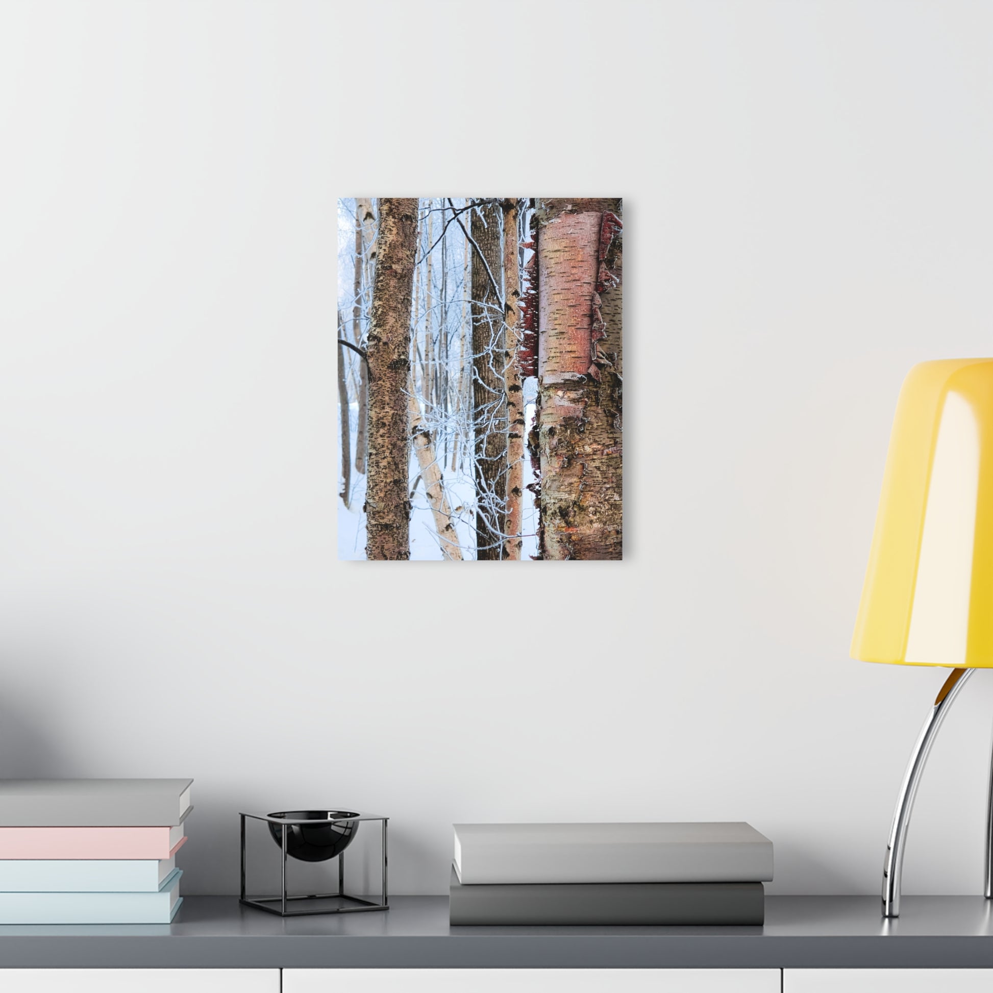 Acrylic Prints Wall Art - Birch Trees in Anchorage Winter Scene