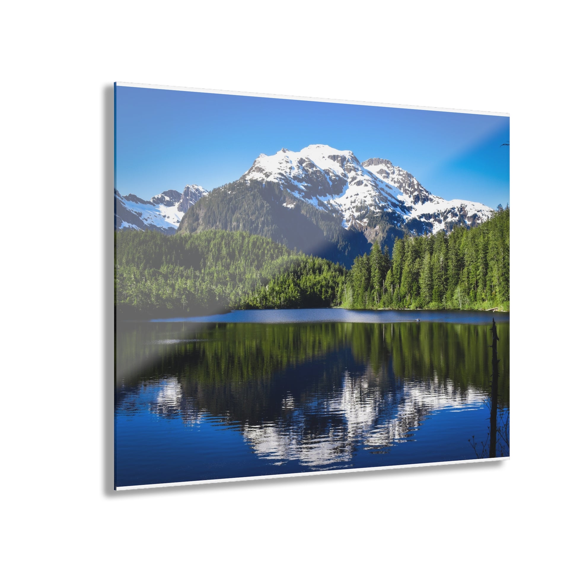Acrylic Prints (French Cleat Hanging) - Beaver Lake Sitka Alaska Wall Art Decor