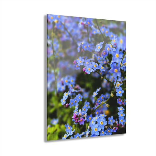 Acrylic Print - Alaska Forget Me Not French Cleat Hanging Wall Art