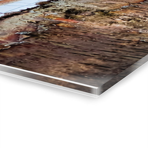 Acrylic Prints Wall Art - Birch Trees in Anchorage Winter Scene