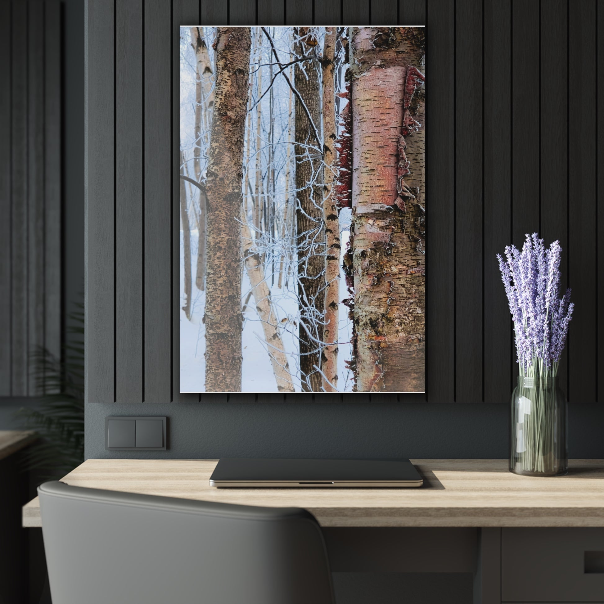 Acrylic Prints Wall Art - Birch Trees in Anchorage Winter Scene